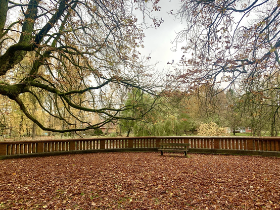Im Park des Hauses der Natur in Wulfsdorf gestern.  gestern. Eine halbrunde Ballustrade wie ein Balkon führt etwas in den kleinen See hinein. Eine alte Kastanie ragt von links ins Bild. Auch rechts fast blätterlose Zweige. Der halbrunde Balkon ist volkommen mit Laub bedeckt. Eine marode alte Bank steht vor dem Geländer aus Stein. Der Platz strahlt Ruhe und Stille aus.