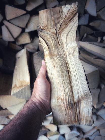 Ein Scheit Brennholz, exakt durch das Mark gespalten, zeigt seine feine Maserung und die geometrische Schönheit des Holzkerns – Symbol für das Innere der Natur. Foto by Johann Seidl, Gartenpoet.