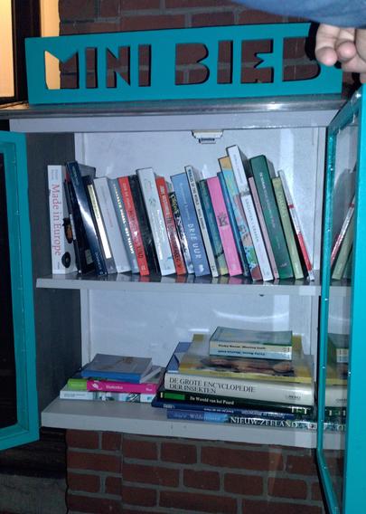 Onscherpe foto van een minibieb met twee planken boeken. Bovenop het kastje staat een plank met de letters "mini bieb" uitgezaagd of gefreesd.