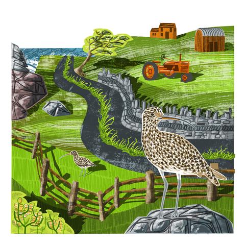 An illustration of a Curlew standing on a rock in front of a farm on the coast.