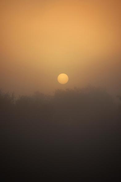 A tranquil photograph captures a delicate sunrise on a foggy morning. The sun, a soft and diffused orb, glows gently in the centre of the frame, casting a muted golden light across the sky. Below, the silhouettes of trees are shrouded in mist, creating a serene and ethereal atmosphere. The scene exudes calmness and quiet beauty, perfectly encapsulating the peacefulness of an early morning.