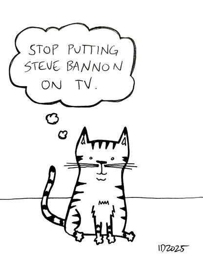 a striped cat sits and thinks "stop putting steve bannon on tv."