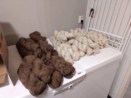 Villalankoja pakastimen päällä