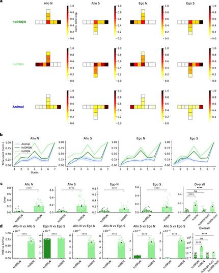 Fig. 4: Hippocampal RL agents with recurrence capture animal behaviour.