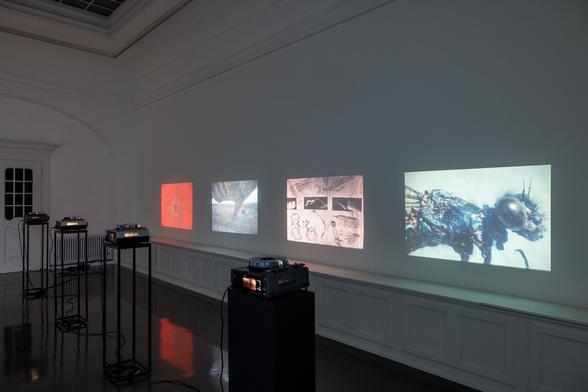 Vortrag von Magda Radu zu Stefan Bertalan und der Neo-Avantgarde-Szene in Rumänien der 1970er und 1980er Jahre [EN], Foto: Felix Grünschloß