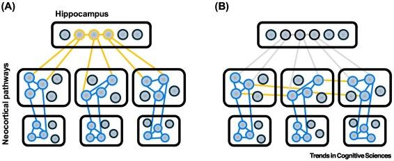 Figure 1. A modal neurocognitive model of episodic retrieval and systems consolidation. (A) When experiencing an
event, a distributed pattern of activity occurs along neocortical processing pathways (pathways shown here are intentionally
‘generic’ but could map to ventral and dorsal visual pathways as well as other sensory processing pathways; e.g., auditory).
These pathways converge on the hippocampus and are bound into a memory trace allowing for their retrieval later in time. At
encoding, all neocortical representations are active, forming a new hippocampal memory trace. At retrieval, a subset of neocor-
tical representations will be active, allowing for the retrieval of the hippocampal memory trace and subsequent reinstatement of
the remaining neocortical representations. (B) Over time, connections between neocortical regions form, allowing for their
retrieval without the involvement of the hippocampus. Blue lines indicate pre-existing connections/representations;
yellow lines indicate newly formed connections/representations; grey lines indicate previously formed connections that have
weakened.