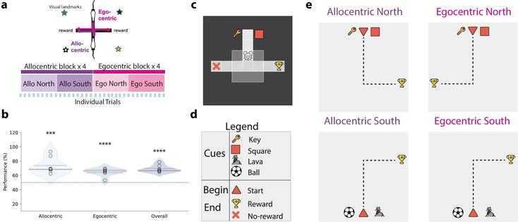 Fig. 1: Ego-allocentric task setup in animals and reinforcement learning agents.