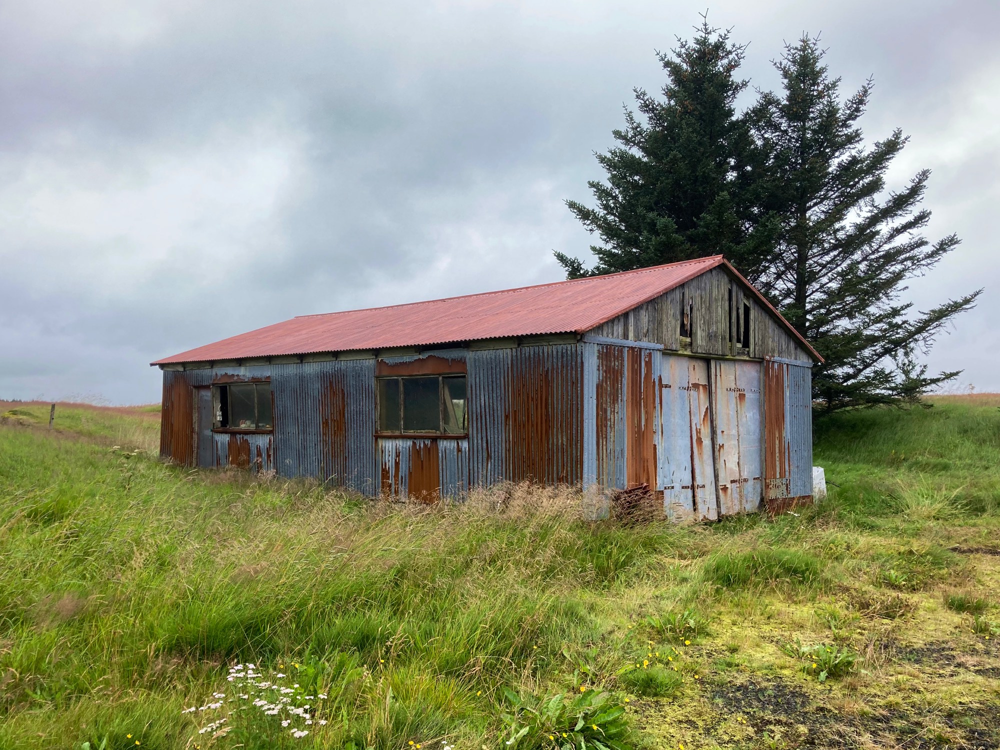 A rusty old shed next to a couple of trees.