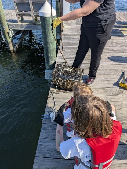 Kids looking at the oyster cage
