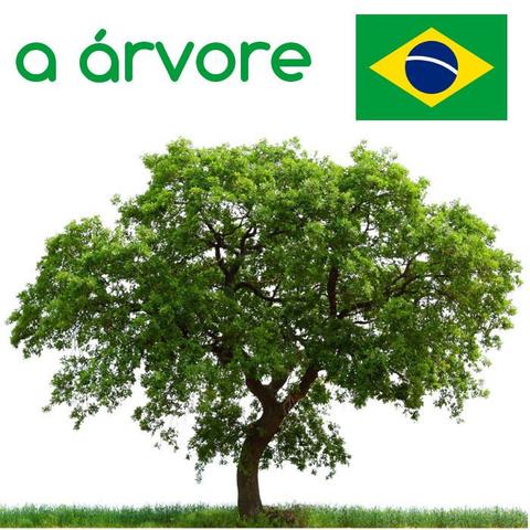 arvore