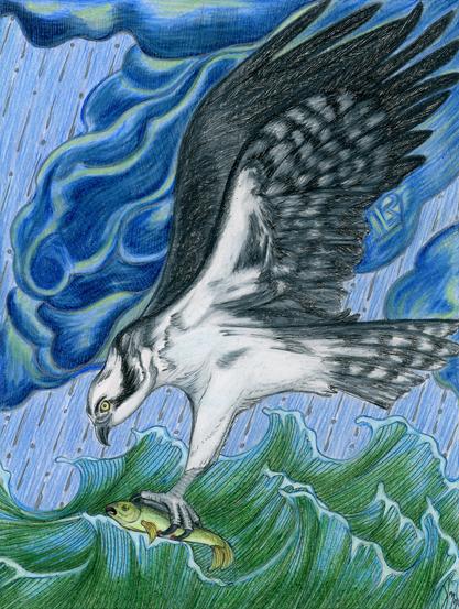 Divinatory art: A grey and white osprey has plunged through stormy skies to catch a fish from the green ocean waves below, and now begins a determined ascent against a backdrop of roiling storm clouds and heavy rain.  The osprey looks ahead with golden eyes.  The gold-green fish in its claws wears a stricken expression.  Behind the crook of the osprey's wing, a sigil in the clouds flashes, with the meaning "Fly True."