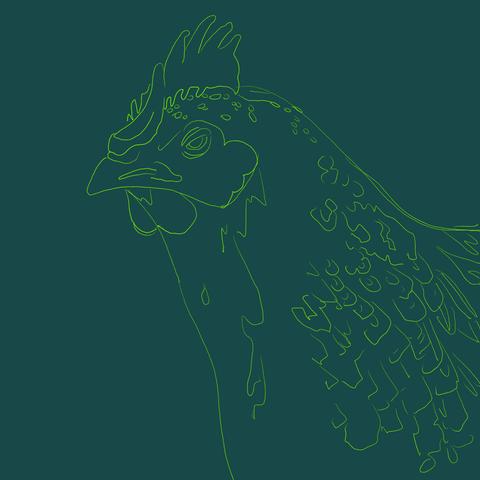 Green background with yellow outline of a hen in profile.