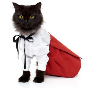 A black cat is dressed in a white shirt with a black bow tie and a red skirt. The cat stands on a white background, looking directly at the camera.