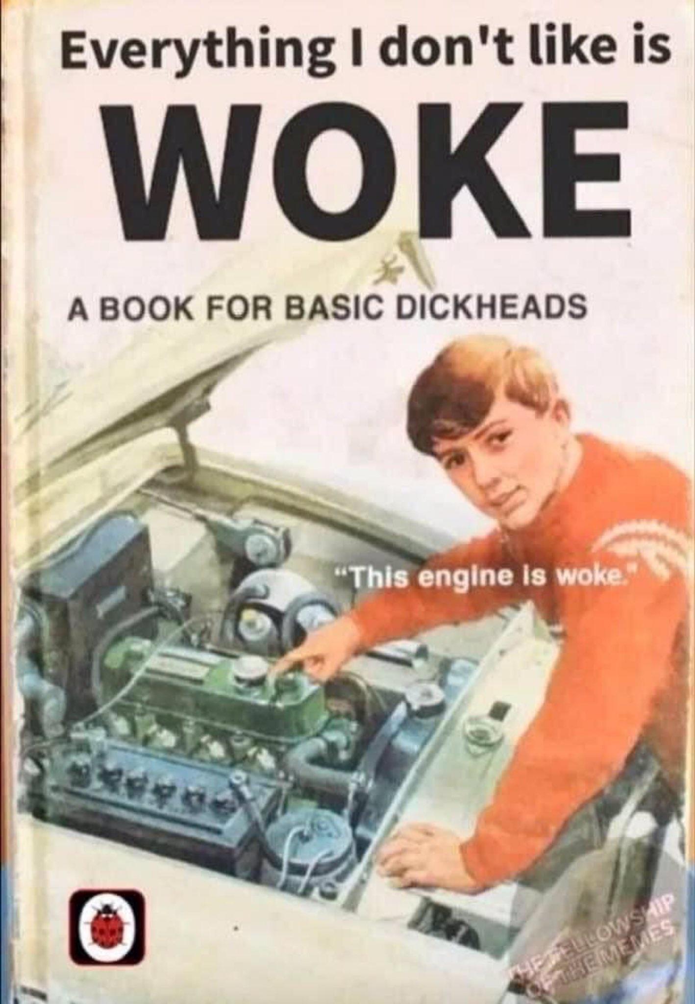 Cover of a book titled "Everything i don't like is woke" with the subtitle "a book for basic dickheads". It is illustrated with a drawing of a young man hovering over the open engine of a car, pointing at it and saying "This engine is woke".
