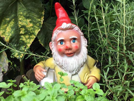 Gartenzwerg in der Kolonie Sandkrug. Foto: Andreas Oertel