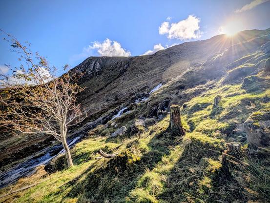 A dramatic, sunlit landscape photo of a steep, rocky hillside. In the foreground, a bare, small tree stands on the left, balanced by mossy tree stumps and sun-drenched, long grass on the right. A narrow stream cascades down the centre of the slope, with rugged rocks and scree all around. The sun bursts brightly over the top right of the hill, casting long, sharp shadows across the foreground and creating a strong contrast between the light and shade.