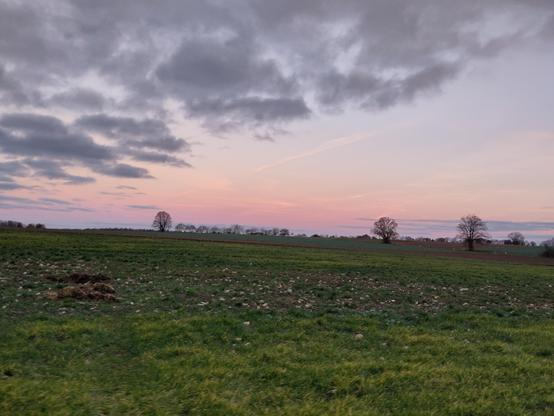 Morgenrot über einem Acker und kahlen Bäumen