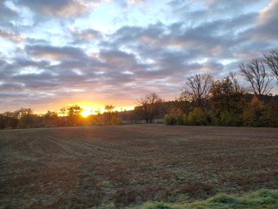 Ein goldenenr Sonnenaufgang, im Vordergrund eine Wiese und Hecken