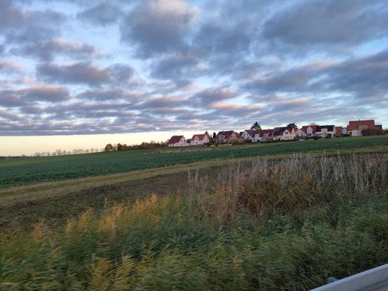Wiesen und Felder, im Hintergrund eine Schafherde vor einem Ort. Der Himmel ist blau mit Schäfchenwolken