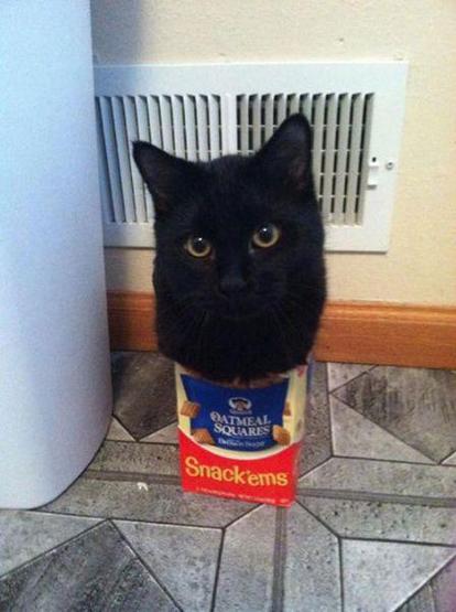 A black cat playfully sits inside a small cardboard box of oatmeal squares with the label "Snack'ems" visible. The box is positioned on a floor with tile patterning, near a wall vent and a white cylindrical object. The cat's head is poking out of the top of the box, and it looks directly at the camera.