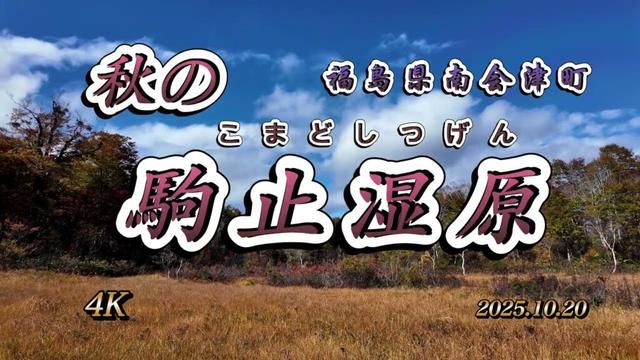 駒止湿原　福島県南会津町/昭和村　国指定天然記念物