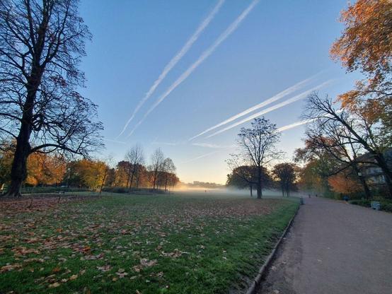 view parc Tête d'or grass plain, bordered with tall yellow leaved trees, a blue skybstreaked with plane trails. the sun is lighting and evaporating a small band of mist beyond.