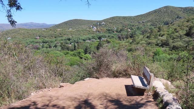 Blick auf die grüne Stadt. Die Häuser sieht man kaum.