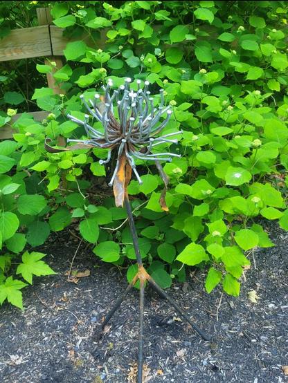 Beauté d'un autre monde

Une grande fleur en acier recyclé et neuf, à mettre au jardin. On la voit dans un hydrangea au début du printemps. 

Ses pétales sont d'immenses clous en acier galvanisés et ses feuilles sont fanées en acier rouillé.