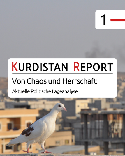 Der Hintergrund des Bildes zeigt die Stadt Kobanê in den grauen und gelben Farben der Häuser. Vorne sitzt eine Taube auf der Mauer des Daches, von dem das Foto aufgenommen wurde. Im Vordergrund ist ein weißer Kasten zu sehen, in dem der Titel des Artikels steht: „Von Chaos und Herrschaft – Aktuelle politische Lageanalyse“. In einer oberen Ecke steht eine „1“, um zu signalisieren, dass dieser Post Teil einer Serie ist.