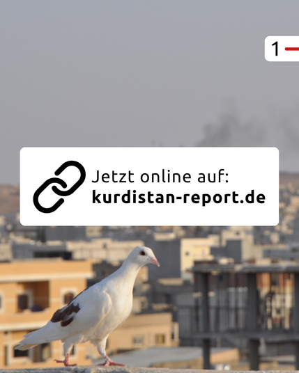 Der Hintergrund ist der gleiche, wie schon im ersten Bild. In einem weißen Kasten steht der Hinweis: „Jetzt online auf: kurdistan-report.de“