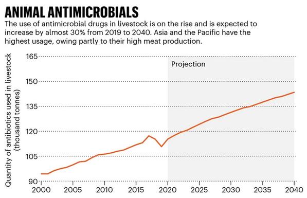 Chart showing how the use of antimicrobial drugs in livestock is on the rise and is expected to increase by almost 30% from 1019 to 2040 (from a little more than 90,000 tons to over 140,000 tons).