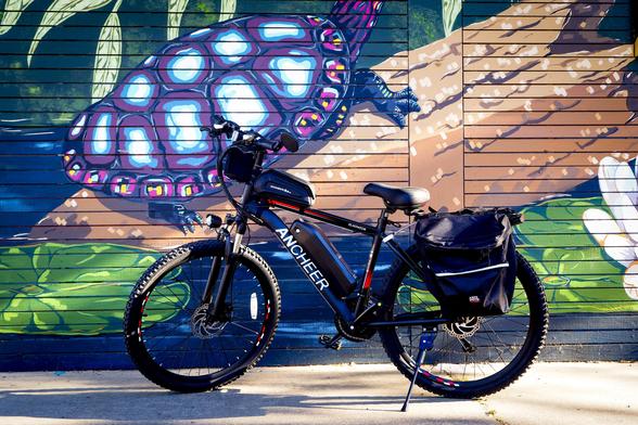 Black and red eBike in front of a brick wall with a purple and blue turtle painted on it