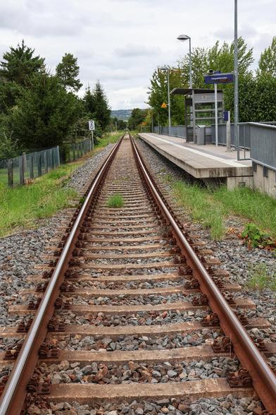 A straight, single railway track stretches into the distance, flanked by gravel ballast and patches of green grass. The track leads to a quiet, rural train platform on the right, featuring a small shelter with a roof, seating, and a signboard. The platform is bordered by a metal railing. The scene is framed by trees and shrubs, with an overcast sky lending a calm, serene atmosphere to the setting.