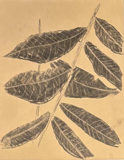 Leaves on a single stem branch in charcoal on brown paper