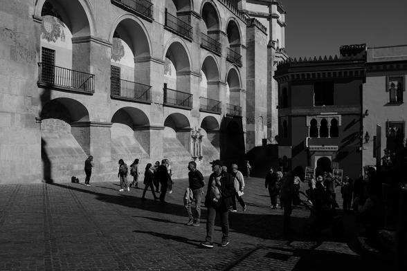 People walk through a sunlit square beside the Mosque–Cathedral of Córdoba, its arches casting deep shadows across the cobblestone ground. The strong contrast between light and shade highlights the geometry of the stone façade and the rhythm of the arches.