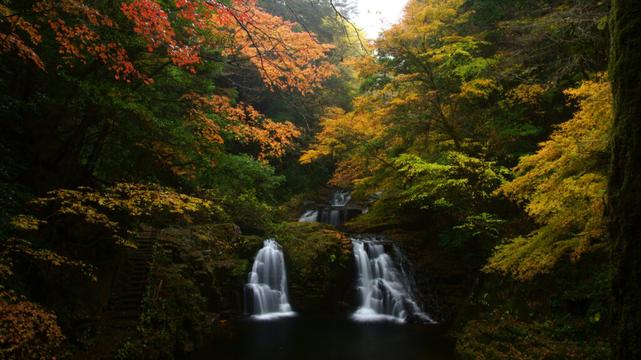 三重県名張市の名勝「赤目四十八滝」で紅葉はじまる。ピークは11月中旬から、幻想的な夜間ライトアップも - トラベル Watch