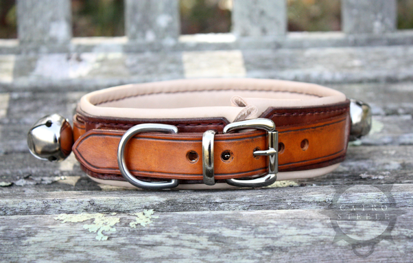 The back of one of the collars, showing the buckle hardware