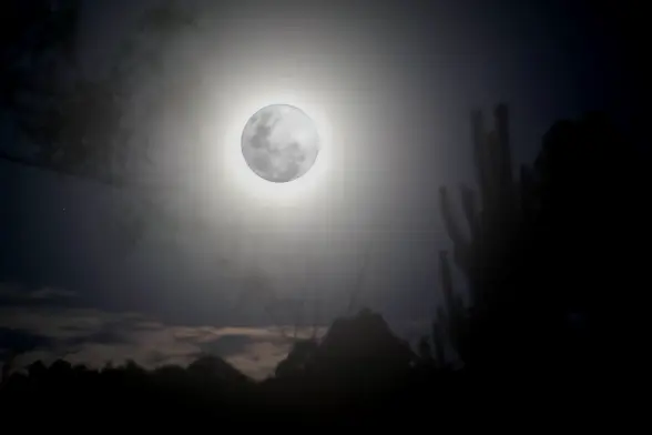 Two images overlayed just taken of the rising moon. One that shows the shadows of the moon itself, another with enough exposure to have an idea of the horizon, showing trees and clouds.