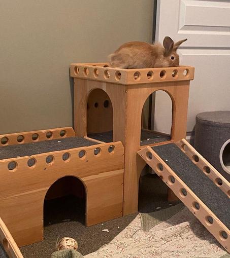 A brown rabbit sitting on top of a wooden castle
