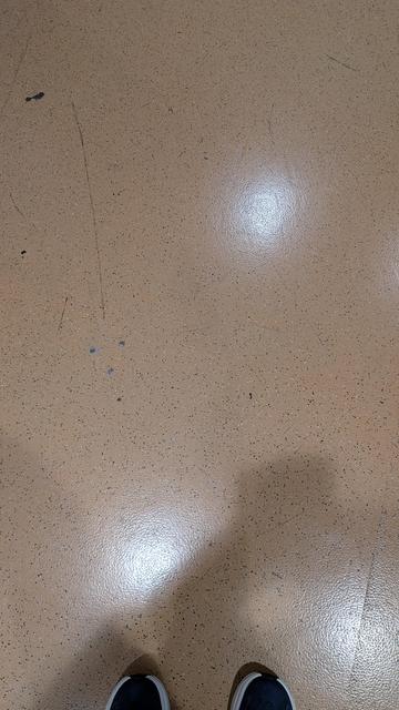 A drab terracotta flooring with dark specks