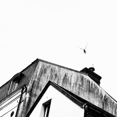 Ein altes Gebäude mit verwitterter Fassade steht scharf im Vordergrund, während eine Möwe über das Dach hinwegfliegt. Eine zweite Möwe sitzt auf einem Schornstein. Das Schwarzweißfoto spielt mit klaren Linien, Kontrasten und Bewegung vor einem hellen Himmel.