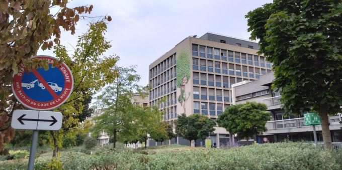 A 6 story high mural depicting a woman siting on 2 ropes talking to a small blue bird, with voluminous hair made out of plants. View from afar.