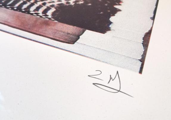 Detail of risograph print showing a close up of the print separation as well as the artists signature