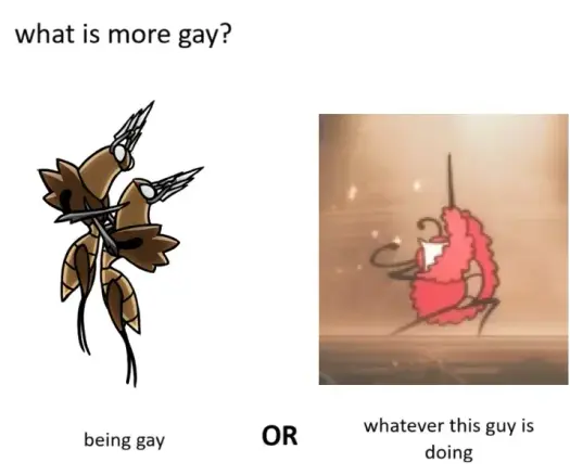 A meme a asking what's more gay: 2 gay hollow knight characters or a flamboyant looking character doing a striking pose.