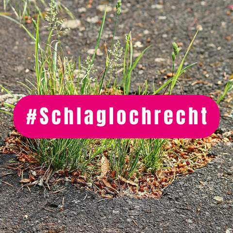 Bild: Schlagloch in einer asphaltierten Straße mit Pflanzenwuchs. Text: #Schlaglochrecht (C) pixabay | manfredrichter