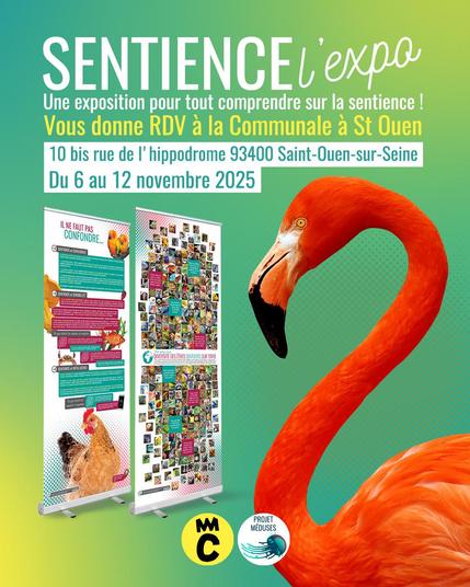 Visuel dans les tons de vert-jaune montrant un flamant rose et deux panneaux de l'exposition et disant "Sentience l'expo - Une exposition pour tout comprendre sur la sentience ! - Vous donne rdv à La Communale à St Ouen - 10 bis rue de l'hippodrome, 93400 St Ouen sur Seine - Du 6 au 12 novembre 2025"
