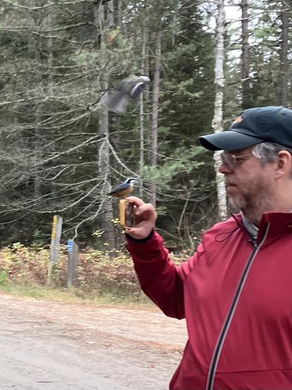 In a park, a man with a beard and ball cap stands holding a smartphone, and a bird lands on it while another bird flaps in the air directly above