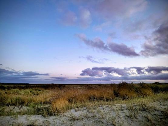 Eine abendliche Szene an der Nordseeküste in Schleswig-Holstein, Deutschland.
Eine Sanddüne vorne mit grünem Dünengras, und direkt dahinter die beginnende, herbstlich braun verfärbte Sakzwiese, die sich bis zum Horizont erstreckt, wo sie sich als dunkle gerade Linie gegen den blau- lila verfärbten Abendhimmel abhebt.
An evening scene on the North Sea coast in Schleswig-Holstein, Germany.
A sand dune in front with green dune grass, and directly behind it the beginning of the salt marsh, coloured autumnal brown, stretching to the horizon, where it stands out as a dark straight line against the blue-purple evening sky.