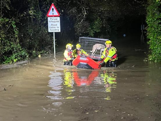 Firefighters helping dogs into crates on an inflatable rescue sled during flooding at Glanrhyd Dog Sanctuary.
