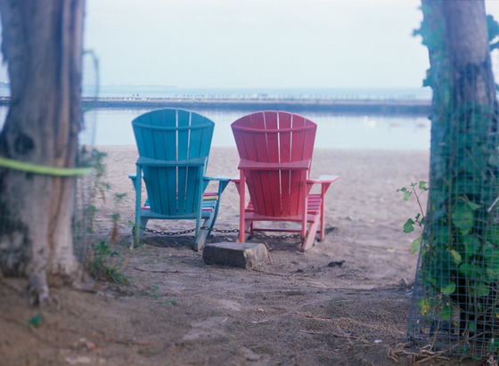 A pair of muskoka chairs sit, chained together on the beach, facing the lake on a still and foggy day. Gulls and cormorants line the breakwater and our view is framed by two trees.